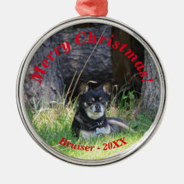 Best Pet Friend Forever Keepsaké Gift Julgransprydnad Metall