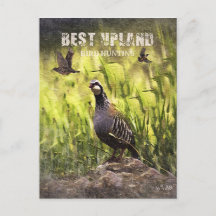 Best Upland Bird Hunting