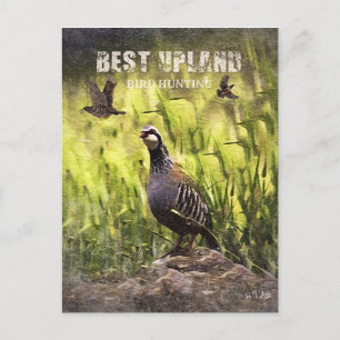 Best Upland Bird Hunting Helg Vykort