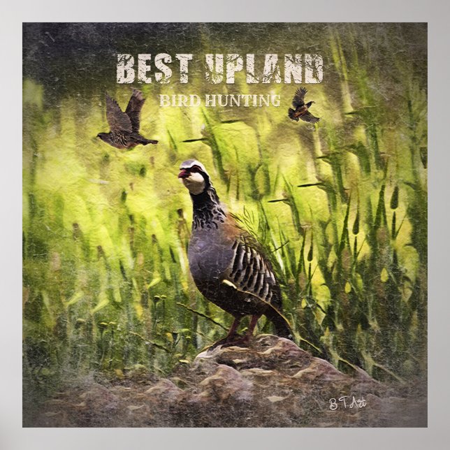 Best Upland Bird Hunting Poster (Framsidan)