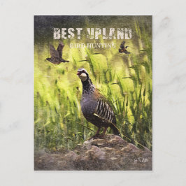 Best Upland Bird Hunting Vykort