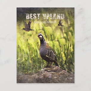 Best Upland Bird Hunting Vykort