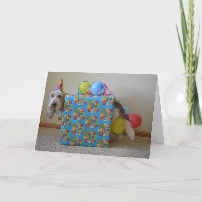 Beställde någon en födelsedaggåva? kort (Framsida)