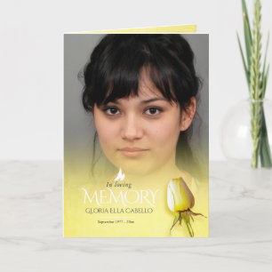 Beställning av det allmänna programmet i gul ros program