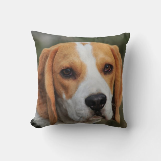 Beställnings- Beaglehundfoto Kudde (Framsida)