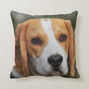 Beställnings- Beaglehundfoto Kudde