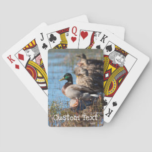 Beställnings- djurlivankor casinokort