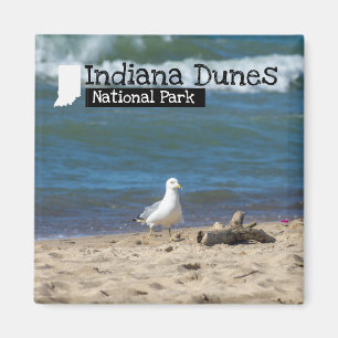 Beställnings- foto - Indiana dynnationalpark Magnet