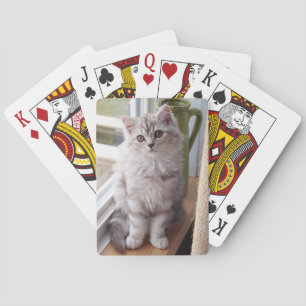 Beställnings- fotokattunge som leker kort spelkort