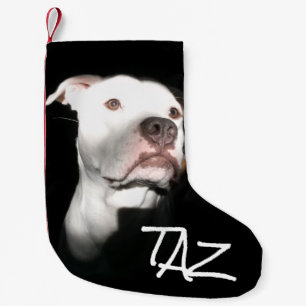 Beställnings- hundnamnfoto liten julstrumpa