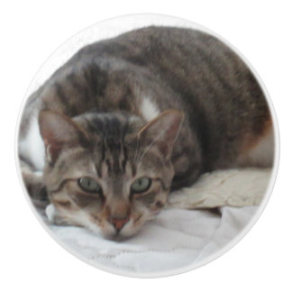 Beställnings- keramisk knopp för tabby katt