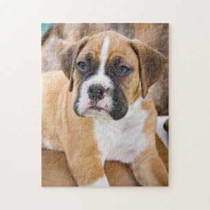 Beställnings- pusselfoto - boxarehund aveln pussel