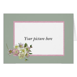 Beställnings- ram med gruppen av Helleboreflowers. Hälsningskort