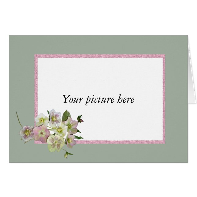 Beställnings- ram med gruppen av Helleboreflowers. Hälsningskort (Framsidan Horizontal)