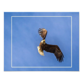 Bestämning Fototryck