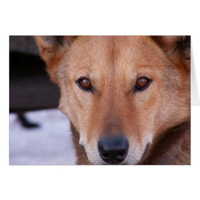 Bestämning Hälsningskort (Framsidan Horizontal)