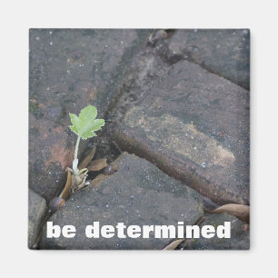 "Bestämning", kylmagnet Magnet
