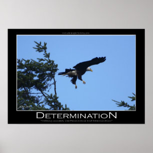BESTÄMNING ~ Motivering Poster