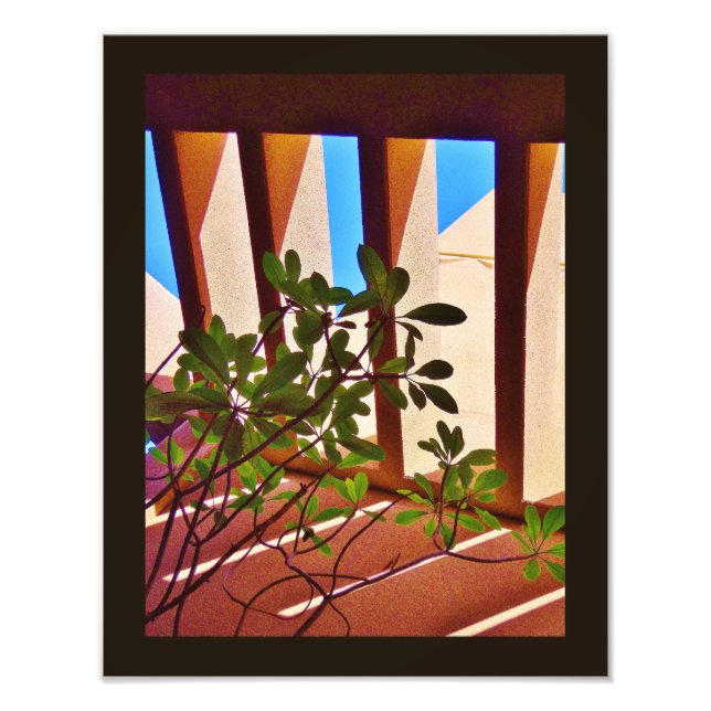 Beständig växt fototryck (Framsidan)