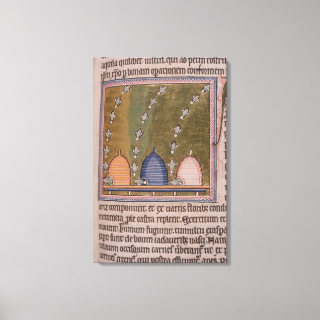 Bestiary Three Curved linjer Canvastryck (Framsida)