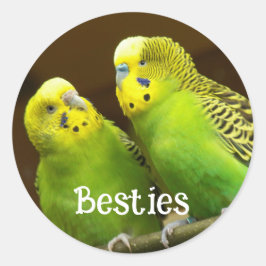 Besties Green and Yellow Parakeets Runt Klistermärke