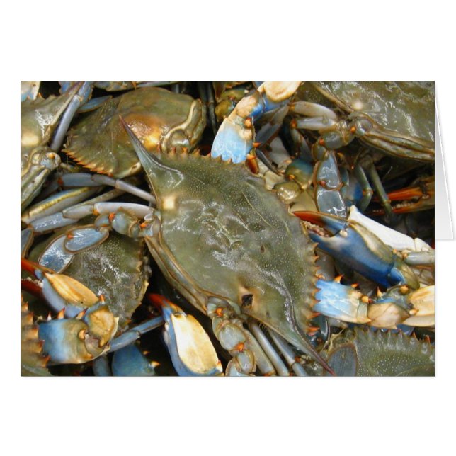 Besvära inte mig… den Crabby I-förmiddagen! Hälsningskort (Framsidan Horizontal)