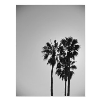 Besynnerlig Fototryck