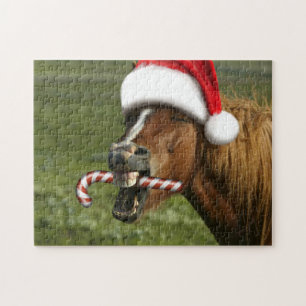 Besynt julhäst med jultomteleende pussel