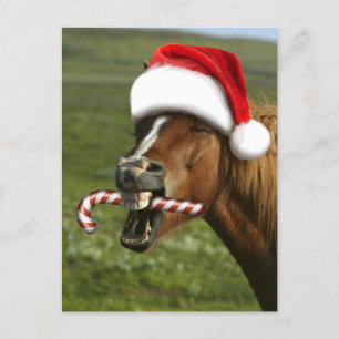 Besynt julhäst med jultomteleende vykort