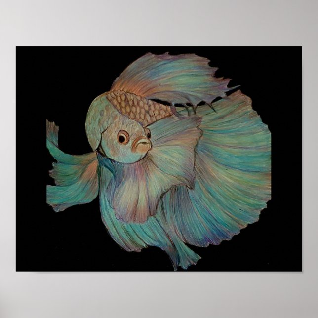 Beta Fish by Carol Zeock Poster (Framsidan)