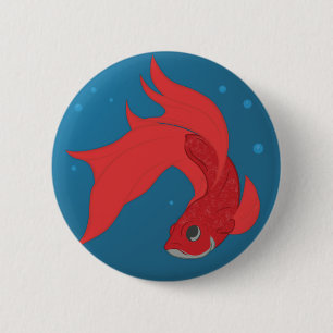 Beta Fish Knapp