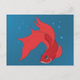 Beta Fish Vykort