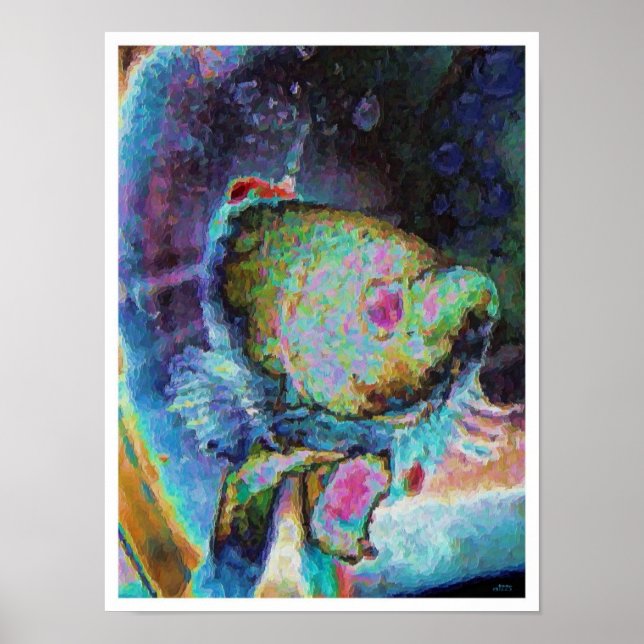 Beta-fisk 1 poster (Framsidan)