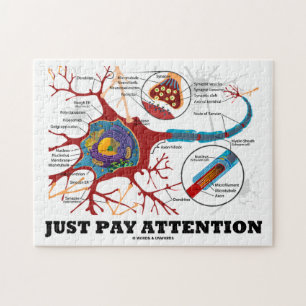 Betala bara uppmärksamhet (Neuron/Synapse) Pussel