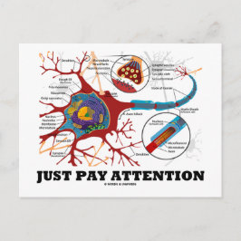 Betala bara uppmärksamhet (Neuron/Synapse) Vykort