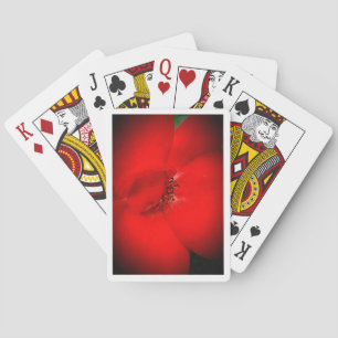 Betala uppmärksamhet casinokort
