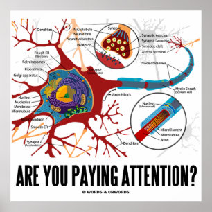 Betalar du uppmärksamhet? (euro/synapse) poster