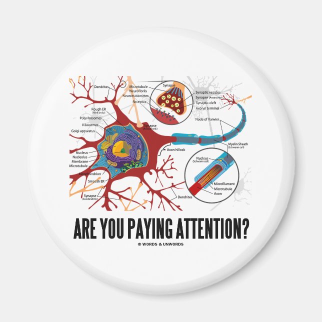 Betalar du uppmärksamhet? (Neuron Synapse Humor) Magnet (Framsidan)