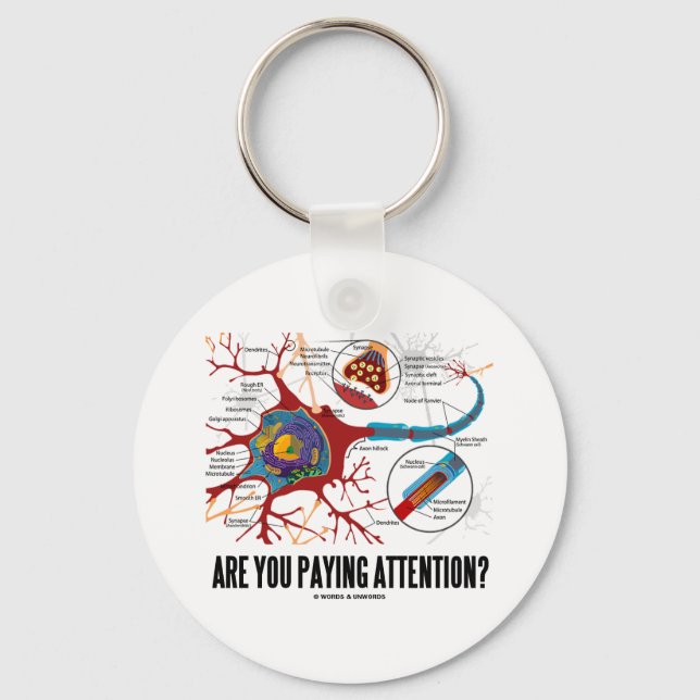 Betalar du uppmärksamhet? (Neuron Synapse Humor) Nyckelring (Framsida)