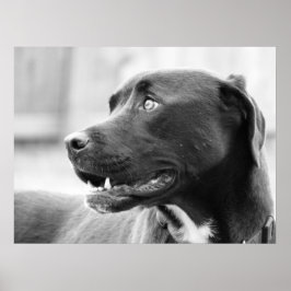 Betalar uppmärksamhet poster