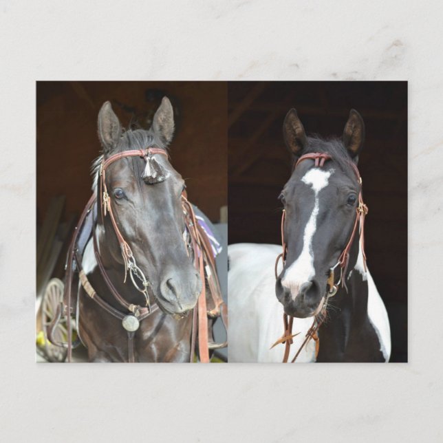 betalkort vykort (Framsida)