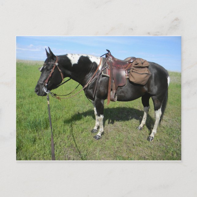 betalkort vykort (Framsida)