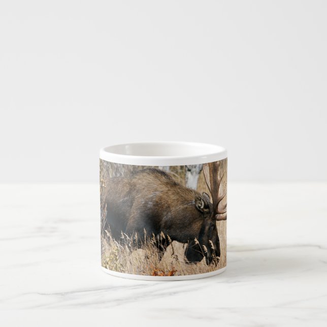 Betande Älg Espressomugg (Framsidan)
