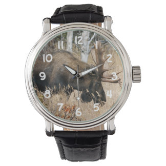Betande mos armbandsur
