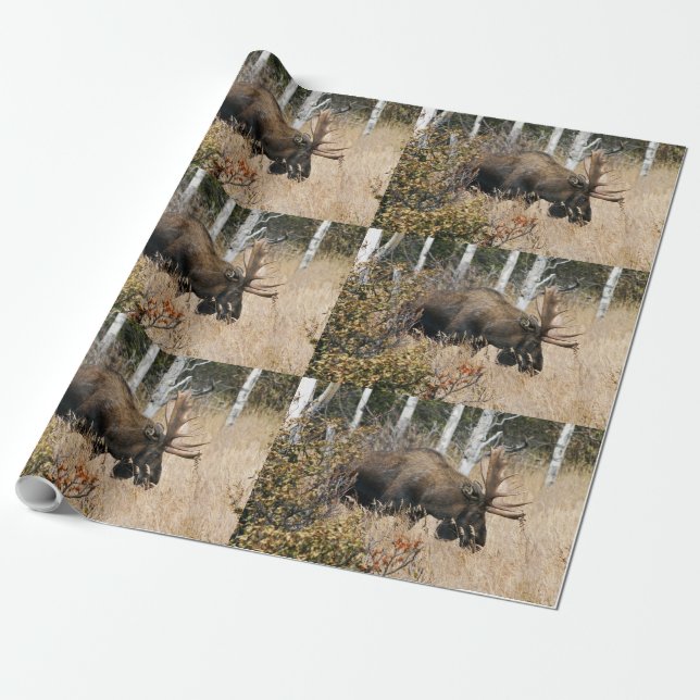 Betande mos presentpapper (Utrullad)