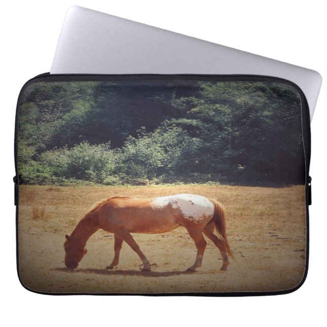 Betande Palomino.... Laptop Fodral (Framsidan)