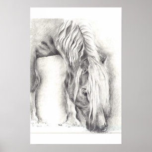 Betande ponny poster