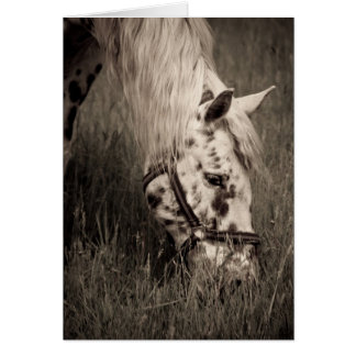 Betande skönhet hälsningskort