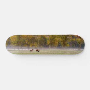 Bete Elk par Skateboard
