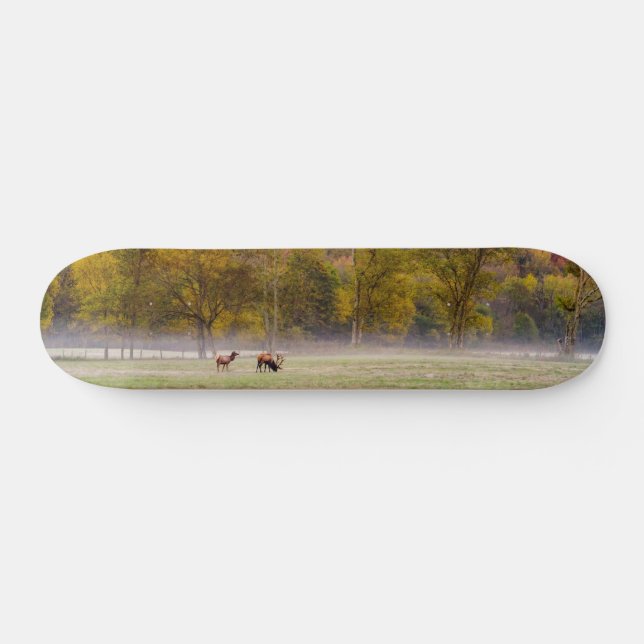 Bete Elk par Skateboard (Horz)